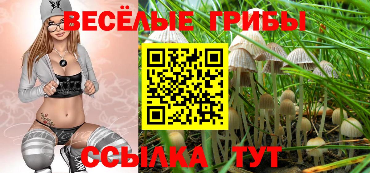 продажа наркотиков  Псилоцибиновые грибы прущие грибы  Вход с VPN  Находка 