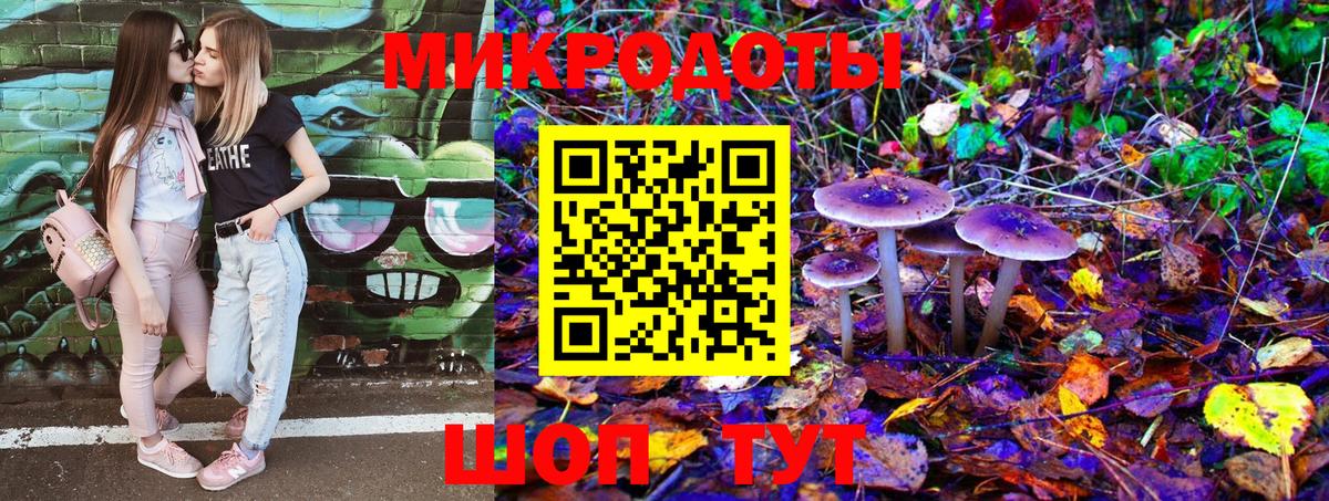 Псилоцибиновые грибы мицелий Находка